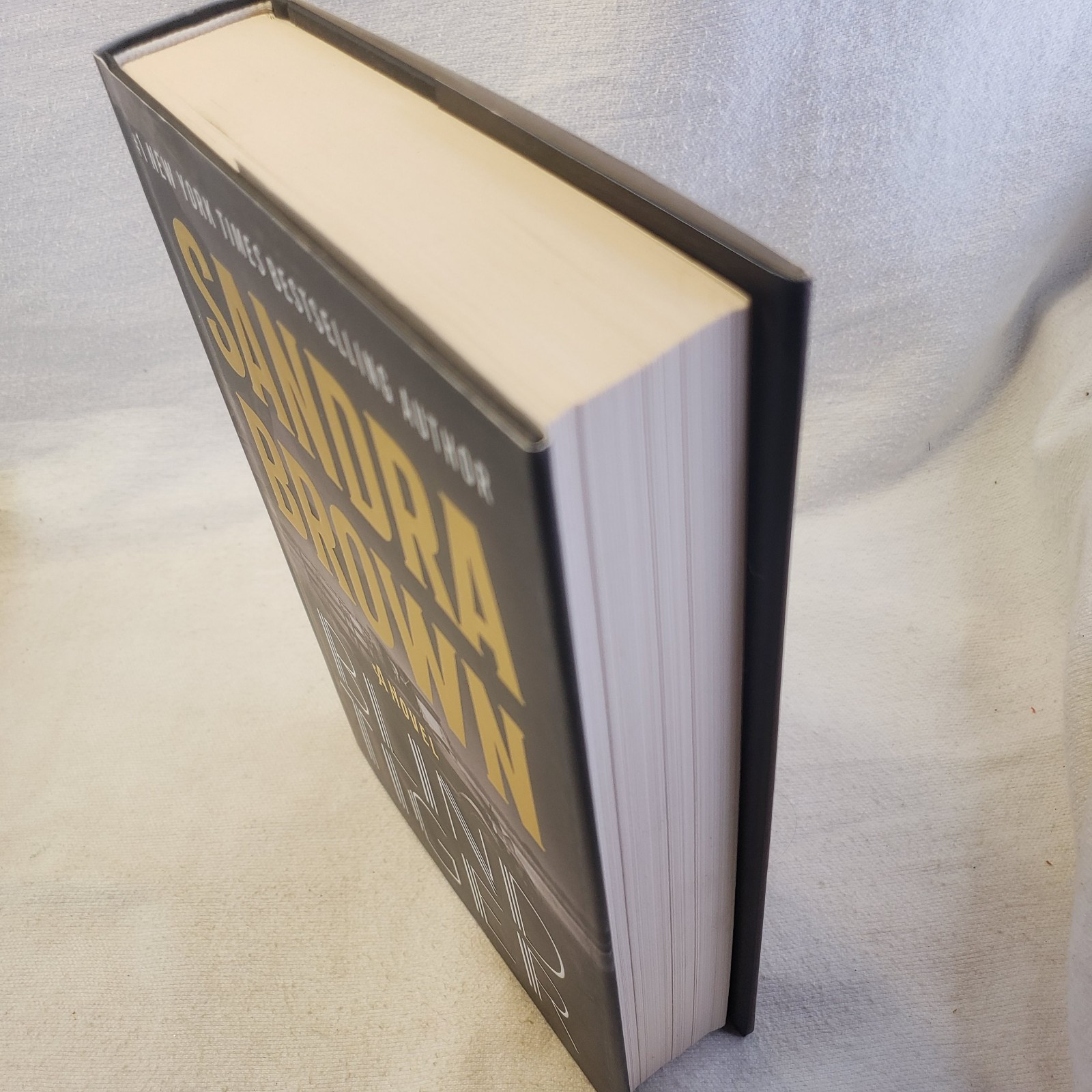 2 Novels- BLIND TIGER Sandra Brown & A TERRIBLE FALL OF ANGELS, Laurell Hamilton
