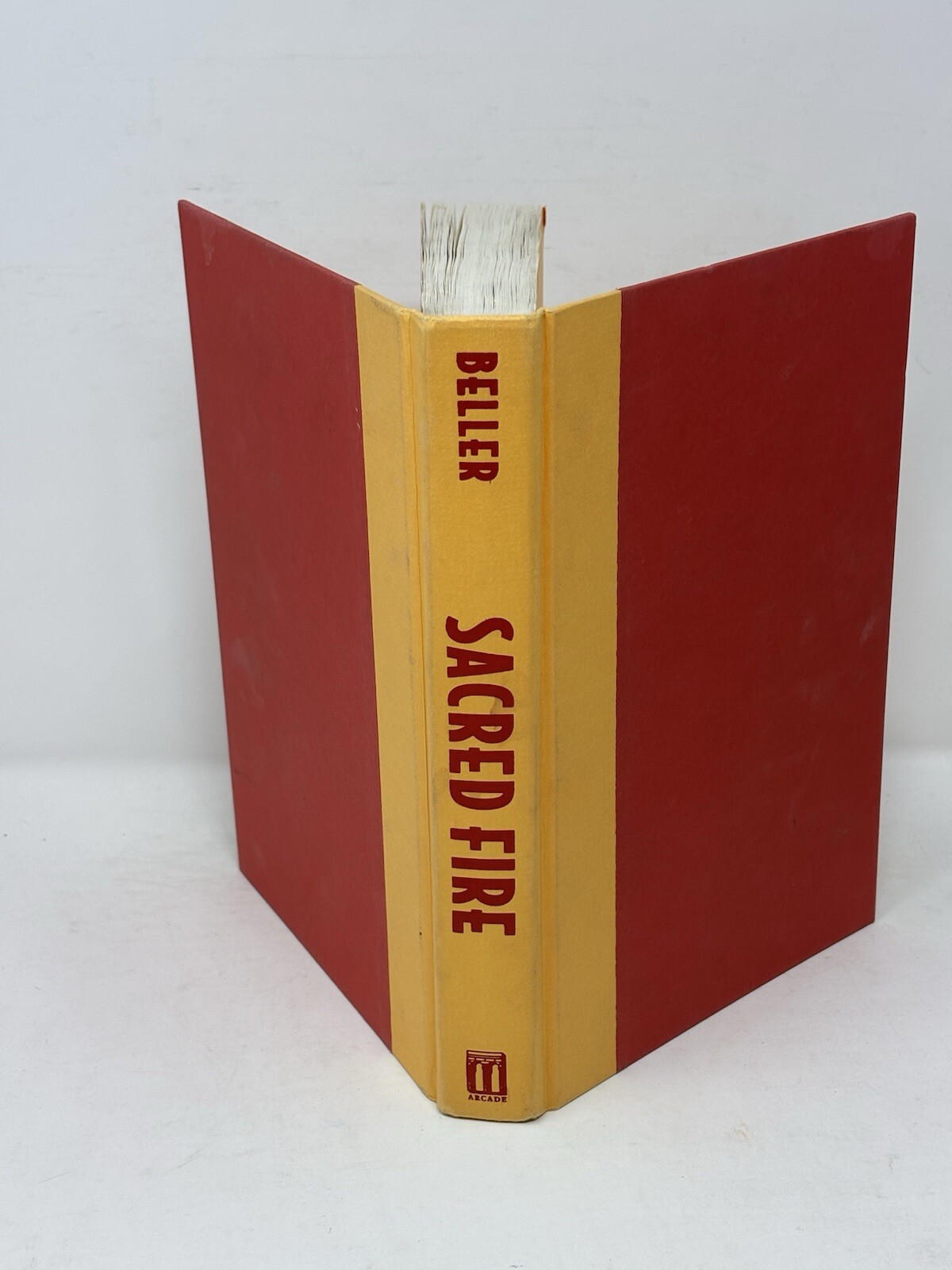 Sacred Fire by Isi Beller1994 Hardcover Mystery Thriller DJ 390 pages