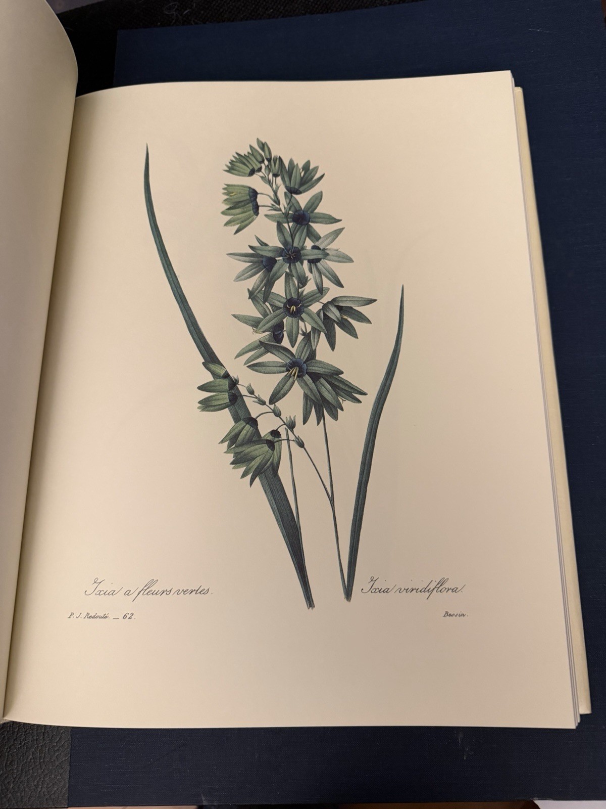 Beautiful Flowers & Fruits by Pierre Joseph Redoute – Like New Condition