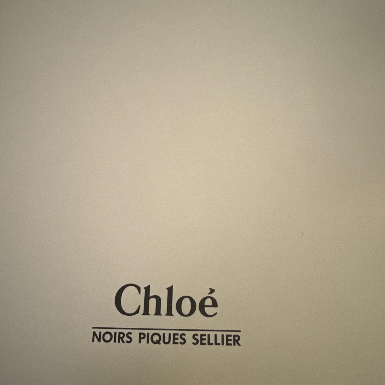 Chloe Runway Show Folder 90’s with 7 Fashion Art Illustrations James Dignan RARE