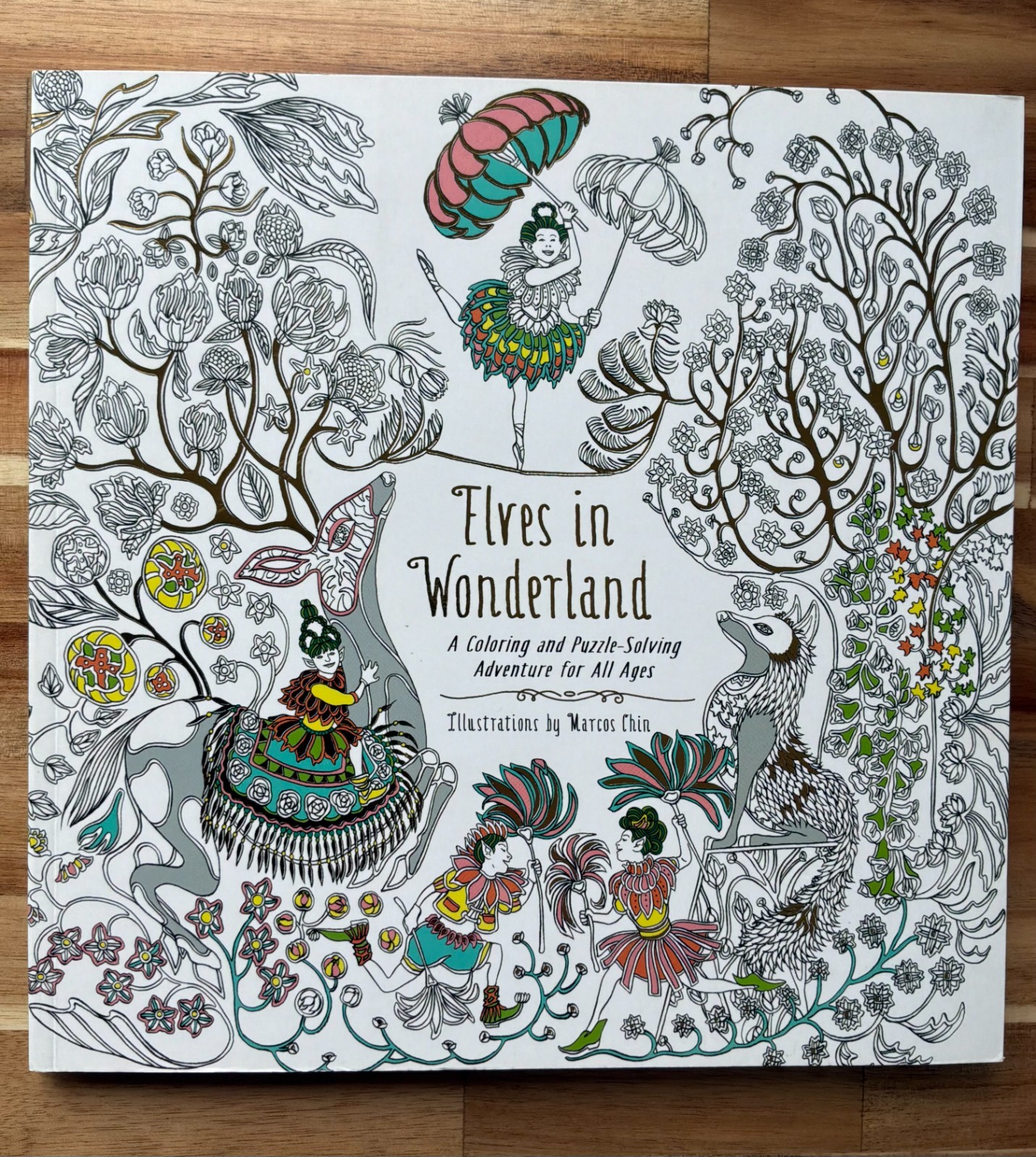 Elves in Wonderland colouring book by Marcos Chin