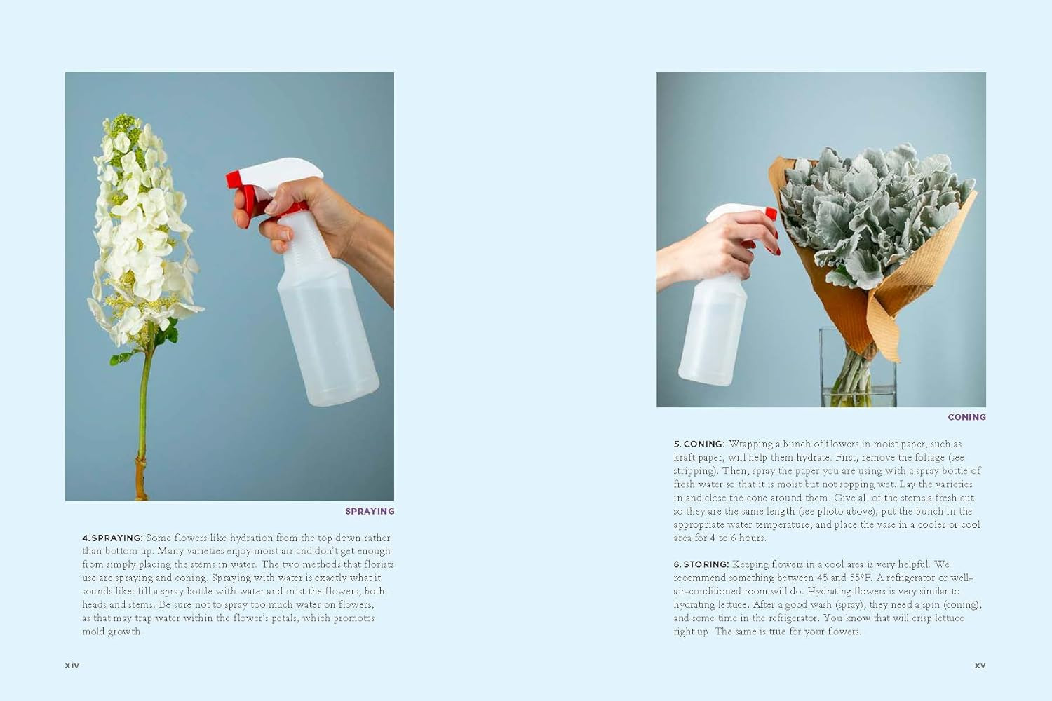 The Encyclopedia of Cut Flowers: What Flowers to Buy, When to Buy Them, and How