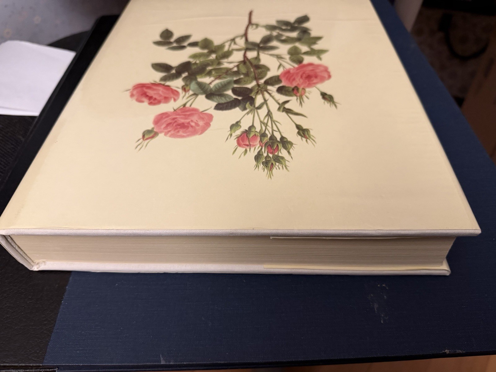 Beautiful Flowers & Fruits by Pierre Joseph Redoute – Like New Condition