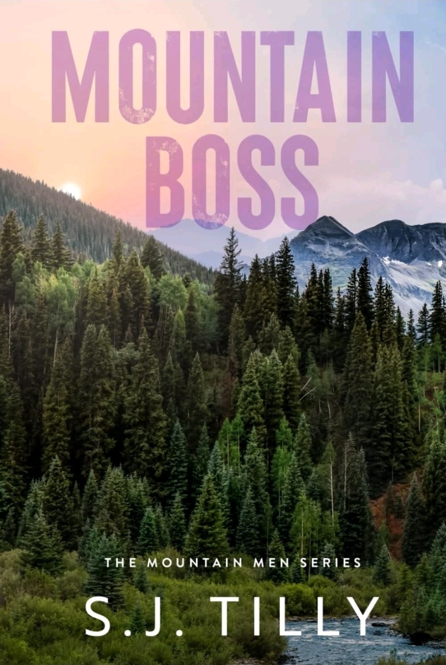 MOUNTAIN BOSS: MOUNTAIN MEN SERIES BOOK ONE BY S.j. Tilly HARDCOVER… 307