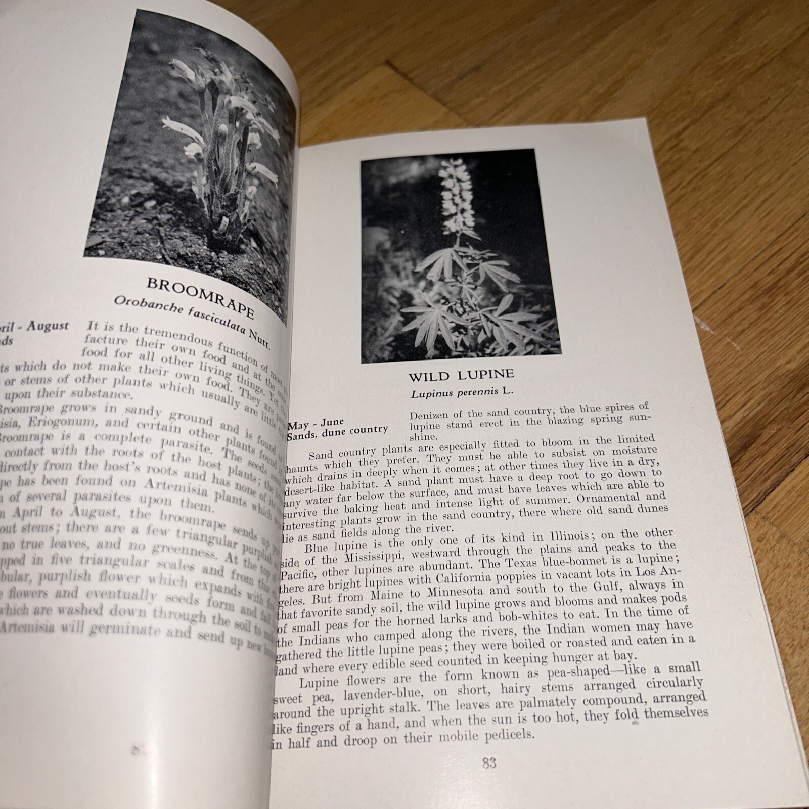 1960 ILLINOIS WILD FLOWERS by John Voss. 256 pages of Photos & Information