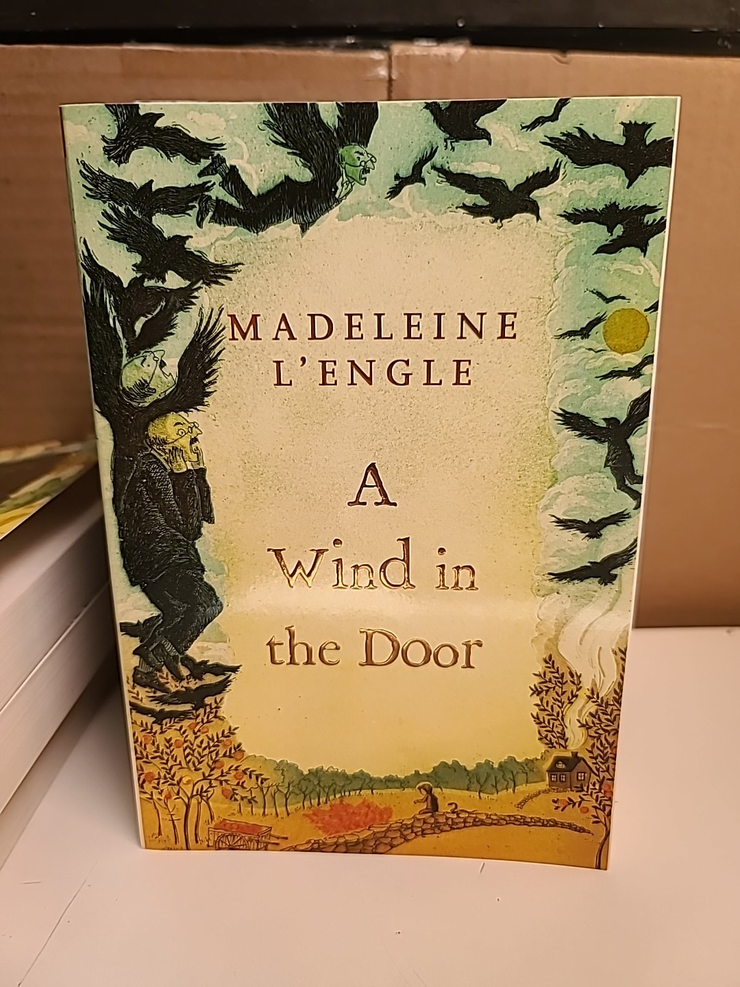 A Wrinkle in Time Madeleine L’Engle Square Fish 2007 13th Printing PB