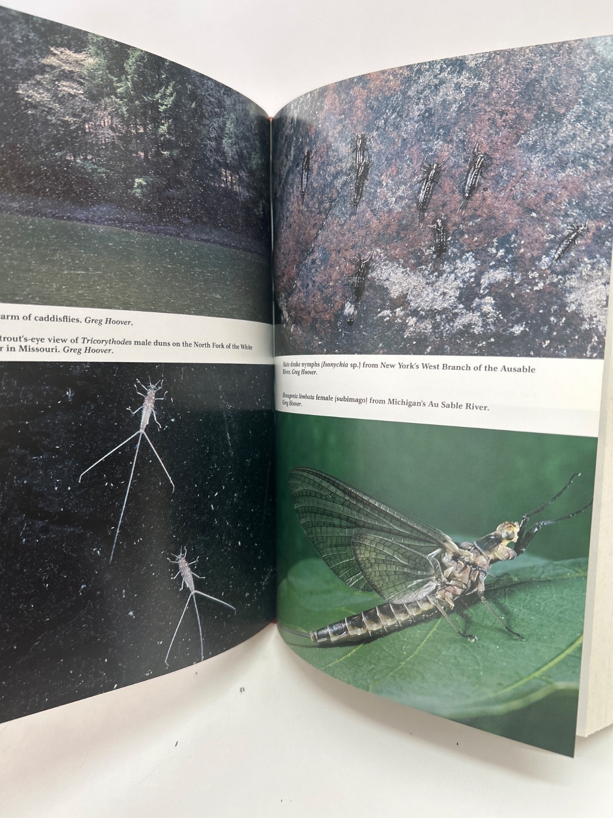 Vintage Fly Fishing Book «Great Rivers – Great Hatches» Meck & Hoover 1992 1st