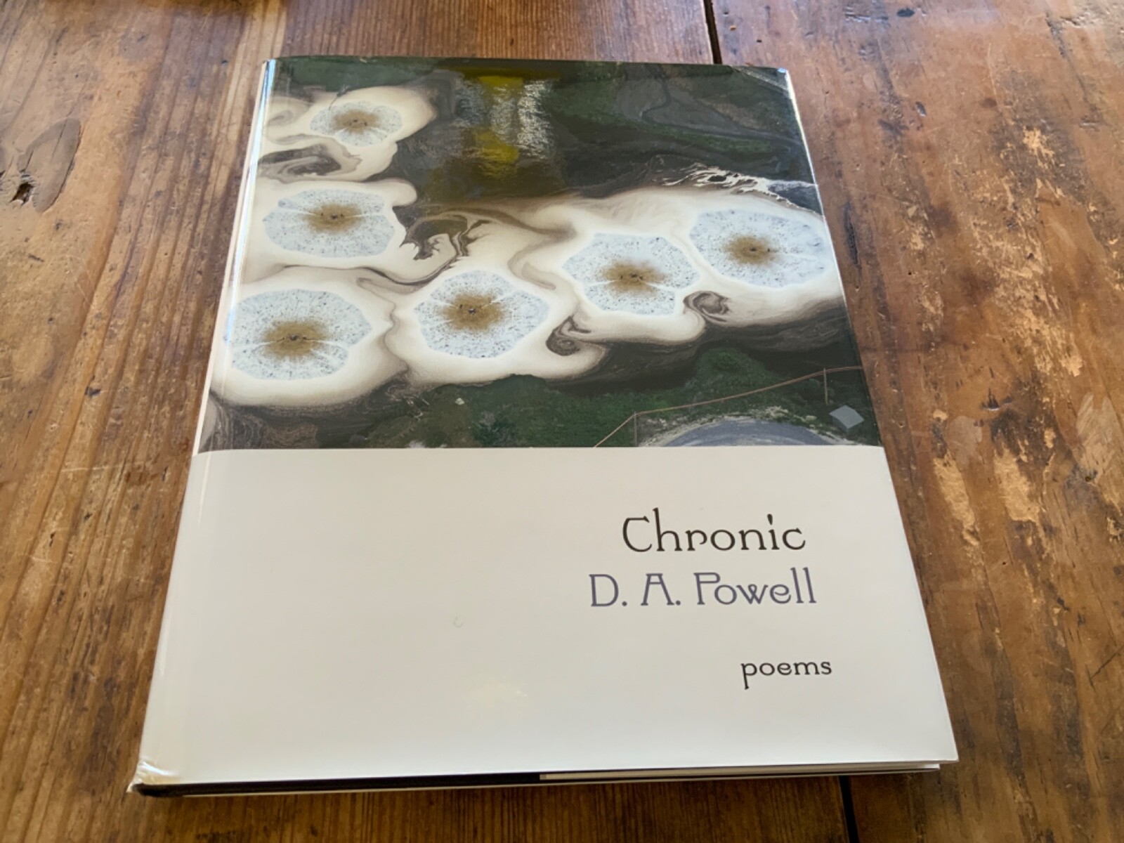 Chronic: Poems – Powell D.A. – Hardcover Very Good 1st Graywolf Printing