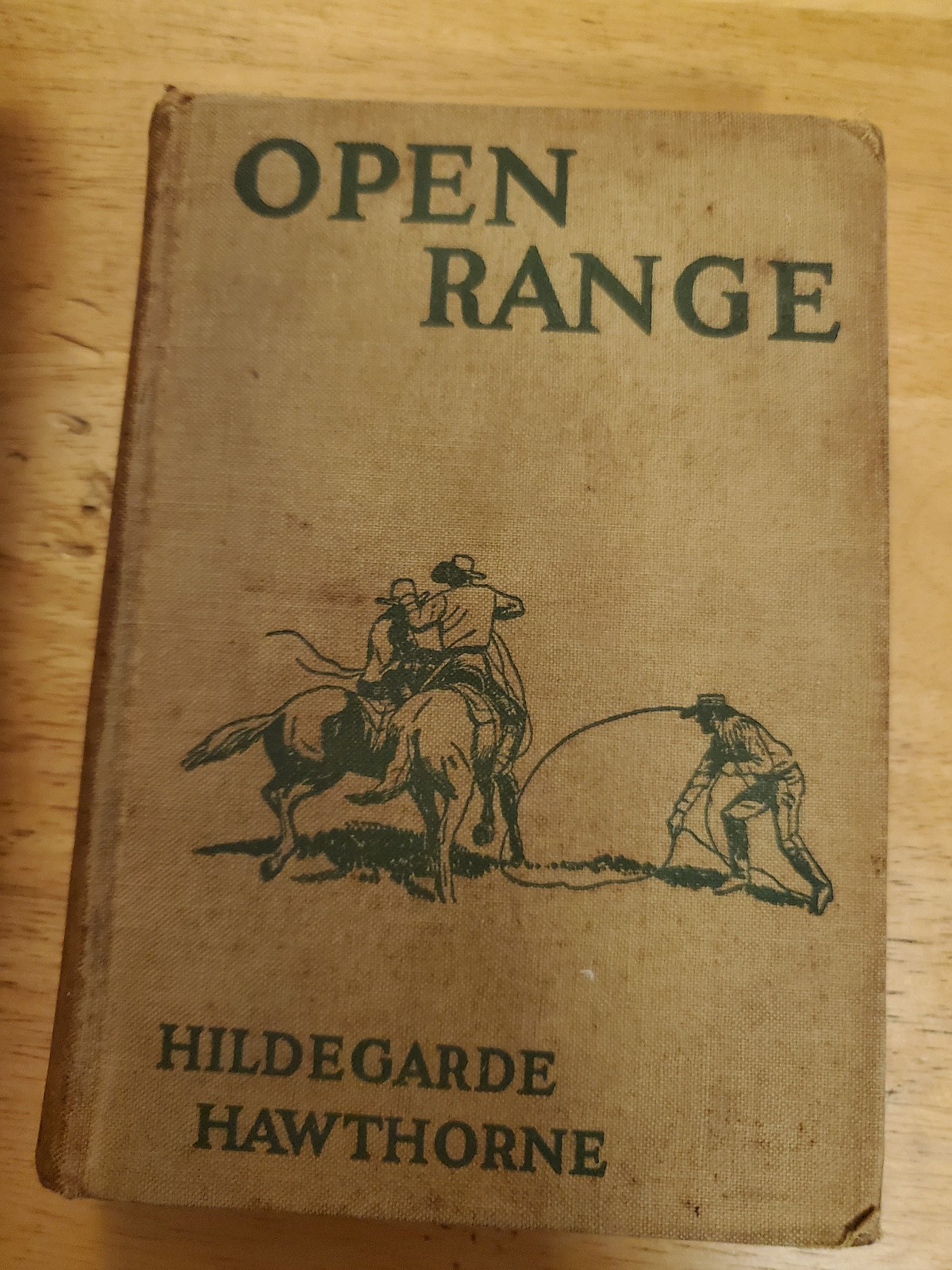 Open Range by Hildegarde Hawthorne 1932 Hardback First Edition with228 pages