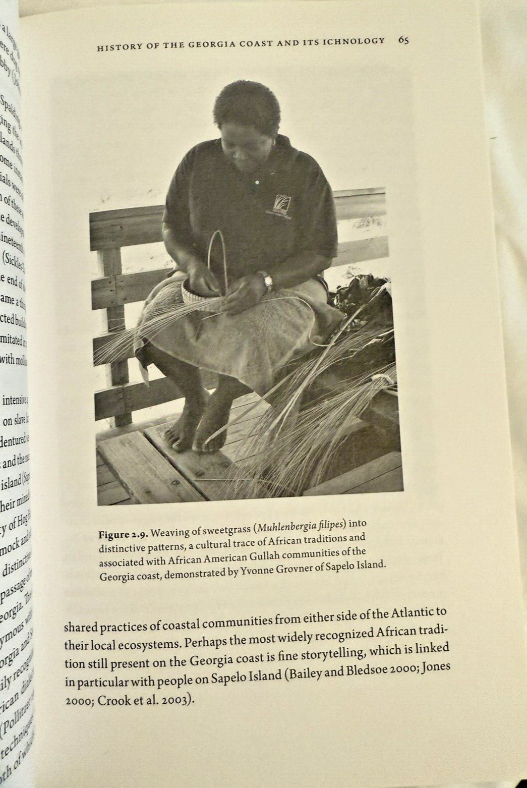 NEW Life Traces Georgia Coast Plants Animals Photos Martin 2013 Book HC DJ