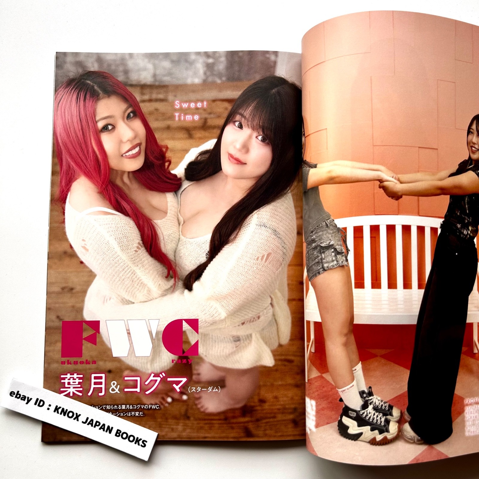 Women’s Pro Wrestling RING PLUS magazine vol.13 2026 Weekly Pro Wrestling Japan