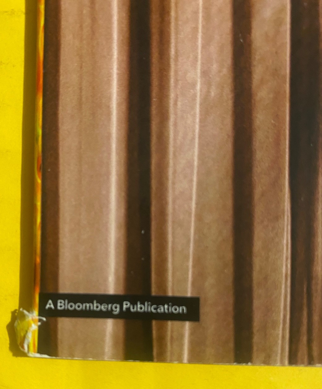 ELON MUSK bloomberg businessweek CANNABIS tesla SPACEX x TARIFF STRESS