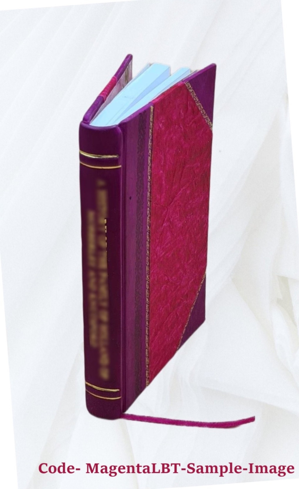 A Progressive Democracy A Record Of Reference Concerning The Sou [Leather Bound]