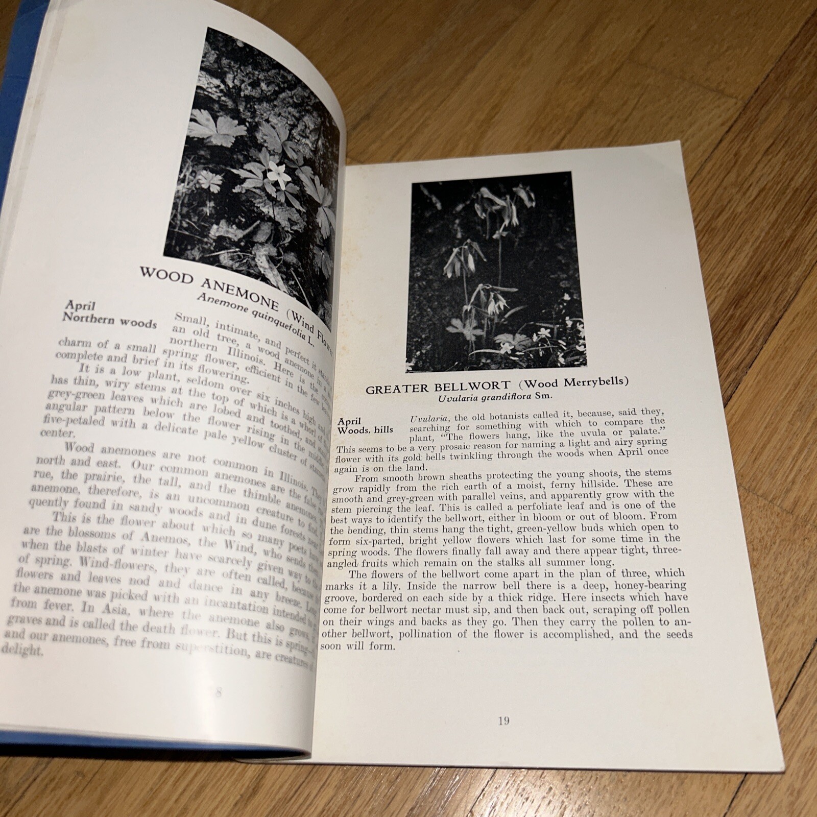 1960 ILLINOIS WILD FLOWERS by John Voss. 256 pages of Photos & Information