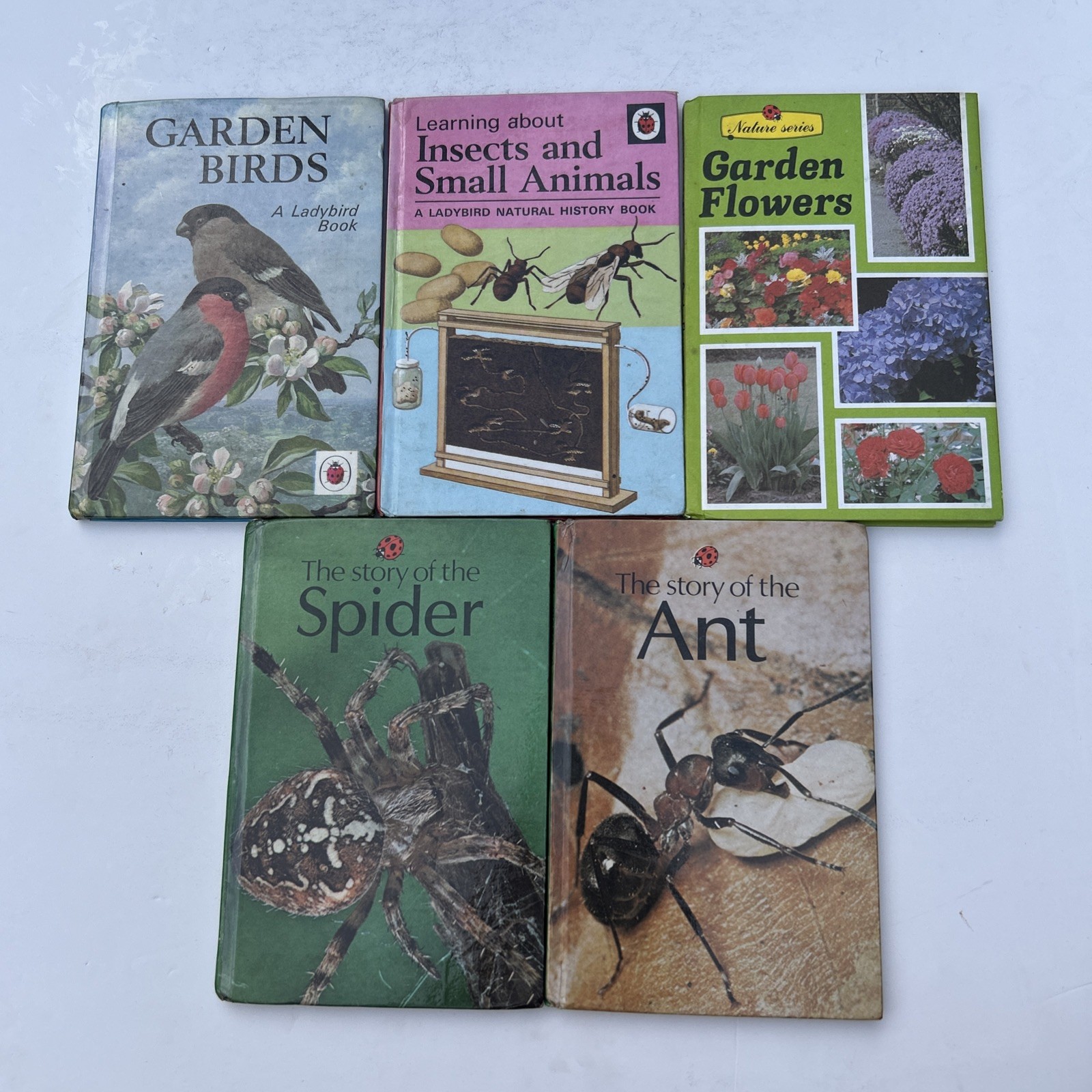 Job Lot 5 Rare Ladybird Children’s Books Natural History Theme 1980s Collectable