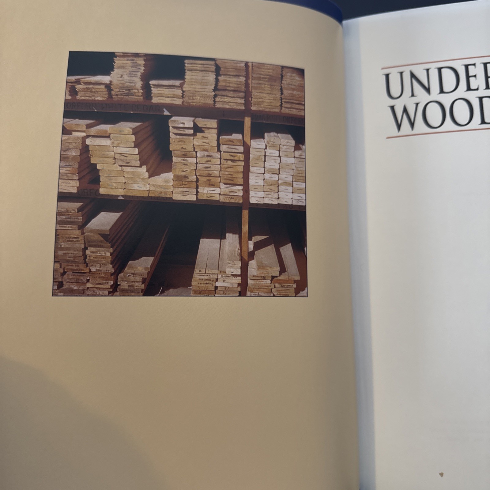 Understanding Wood : A Craftsman’s Guide to Wood Technology |by R. Bruce Hoadley