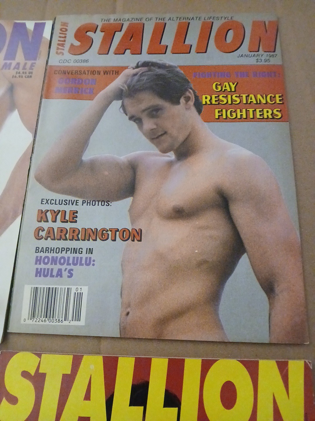Torso – Torso’s Stallion Lot Of 4 Vintage Gay Magazines Men’s Interest 80’s Rare