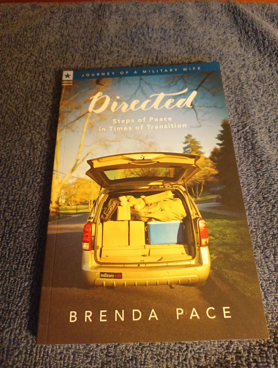 Journey Of A Military Wife 4 Book Box Set, Brenda Pace, American Bible Society