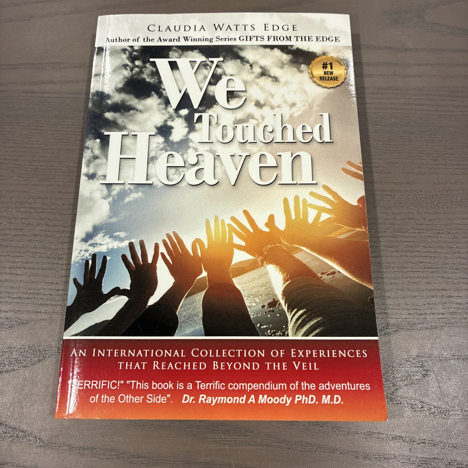 We Touched Heaven : Collection of Experiences From Beyond Veil 2021 Paperback
