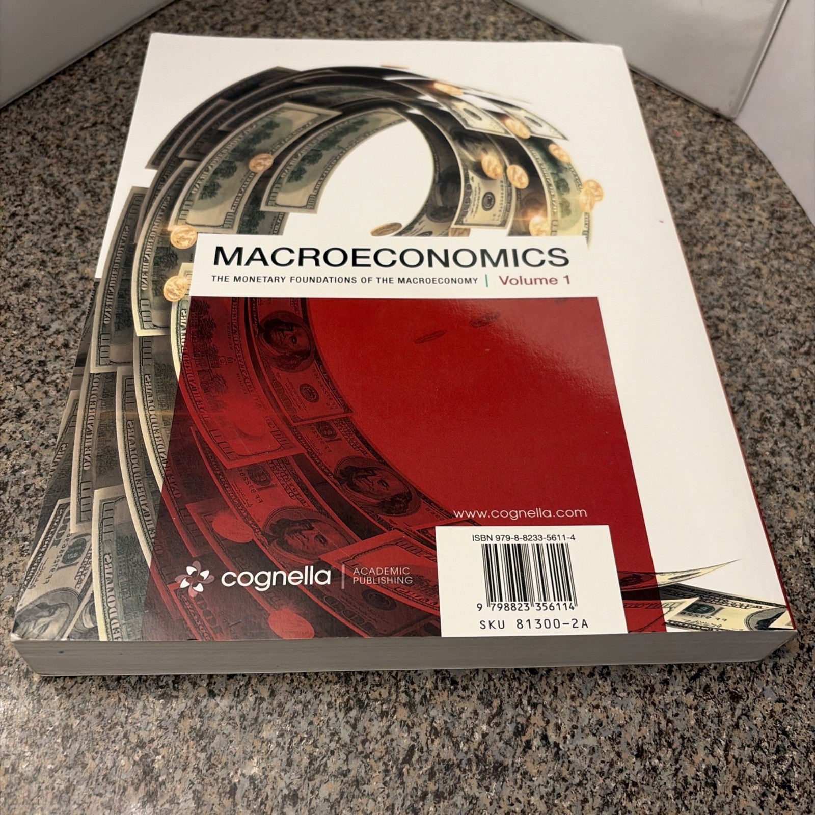 Macroeconomics: The Monetary Foundations of the Macroeconomy Vol. I by Rustici