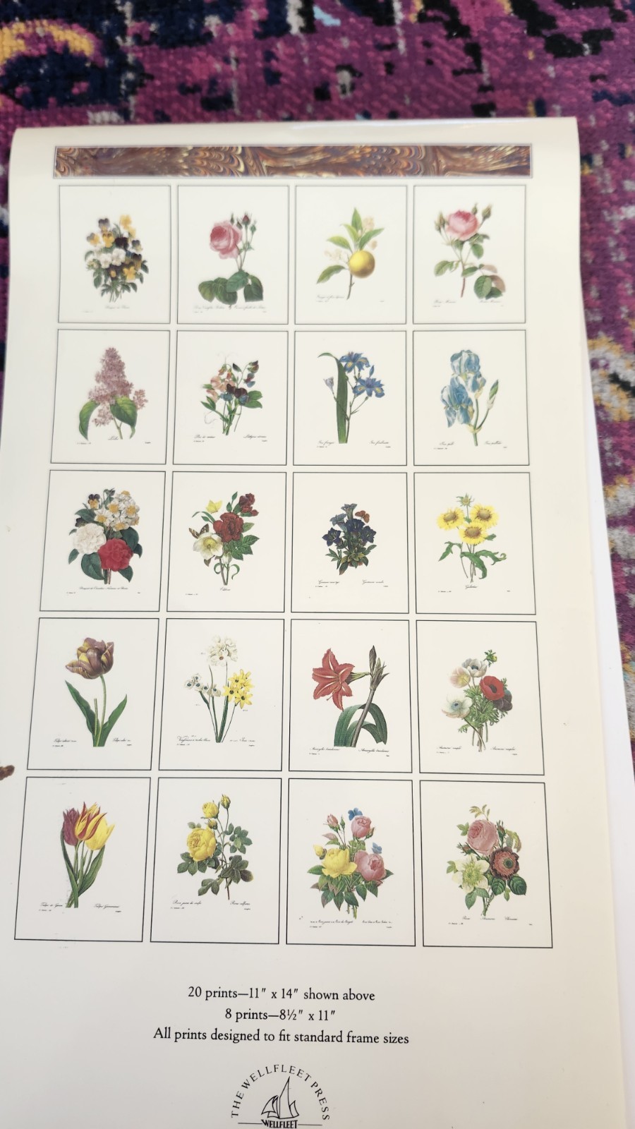 Pierre Joseph Redoute «Flowers A Portfolio of Full Color Prints» Incomplete Set