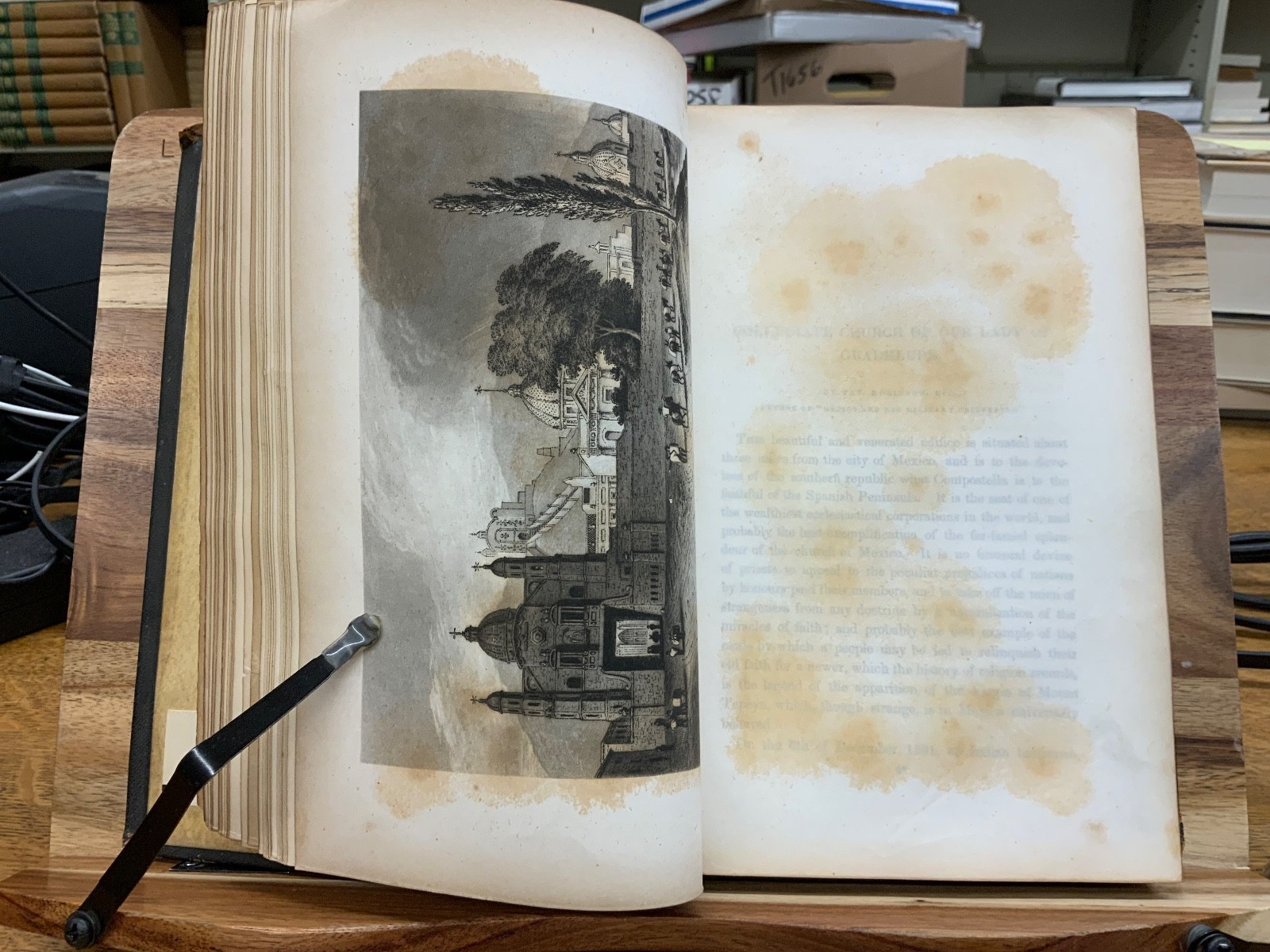 Leaflets of Memory An Illuminated Annual Gift Book for 1850 Reynell Coates