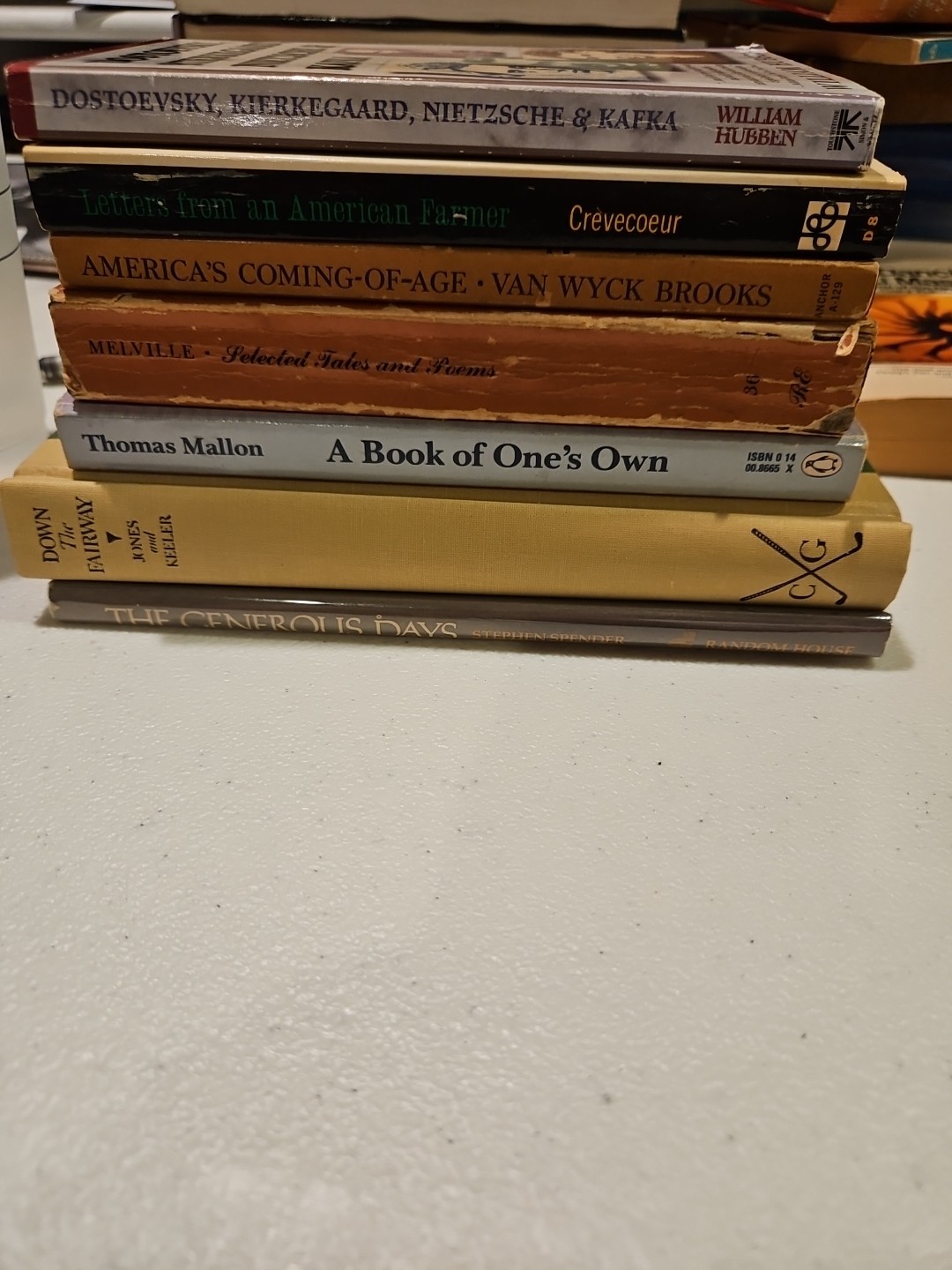 Vintage Philosophy Books Lot Nietzsche Dostoevsky Kafka Melville Literary Essays