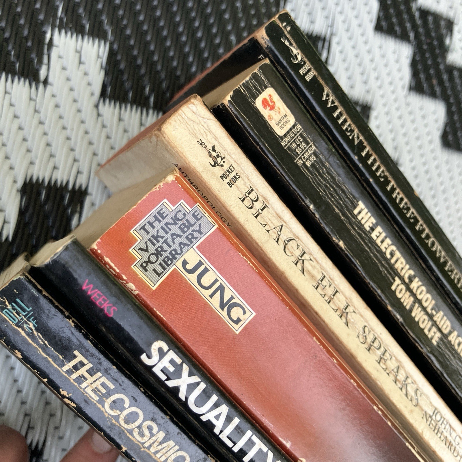 Vintage Sociology Philosophy Book Lot Carl Jung Tom Wolfe Carl Sagan Black Elk