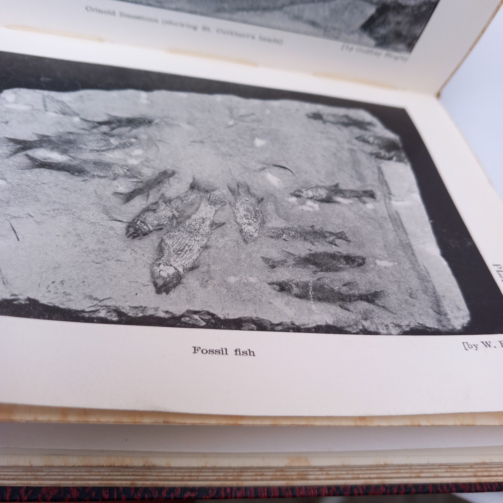 The Earth As Shown To The Children Ellison Hawks HB Book Geology Palaeontology