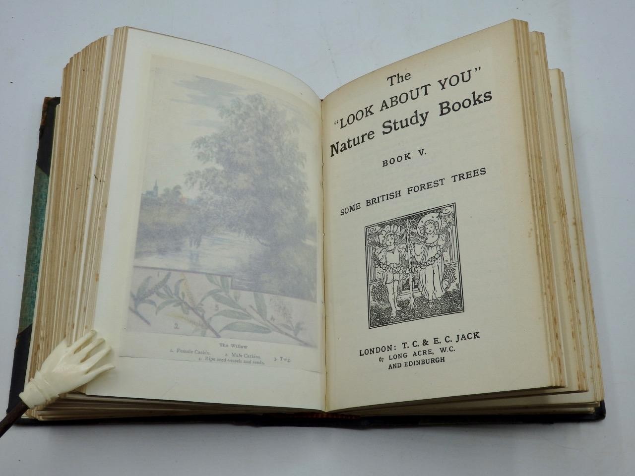 The LOOK ABOUT YOU NATURE BOOK – Books 1 to 7 in One Volume by Thomas Hoare