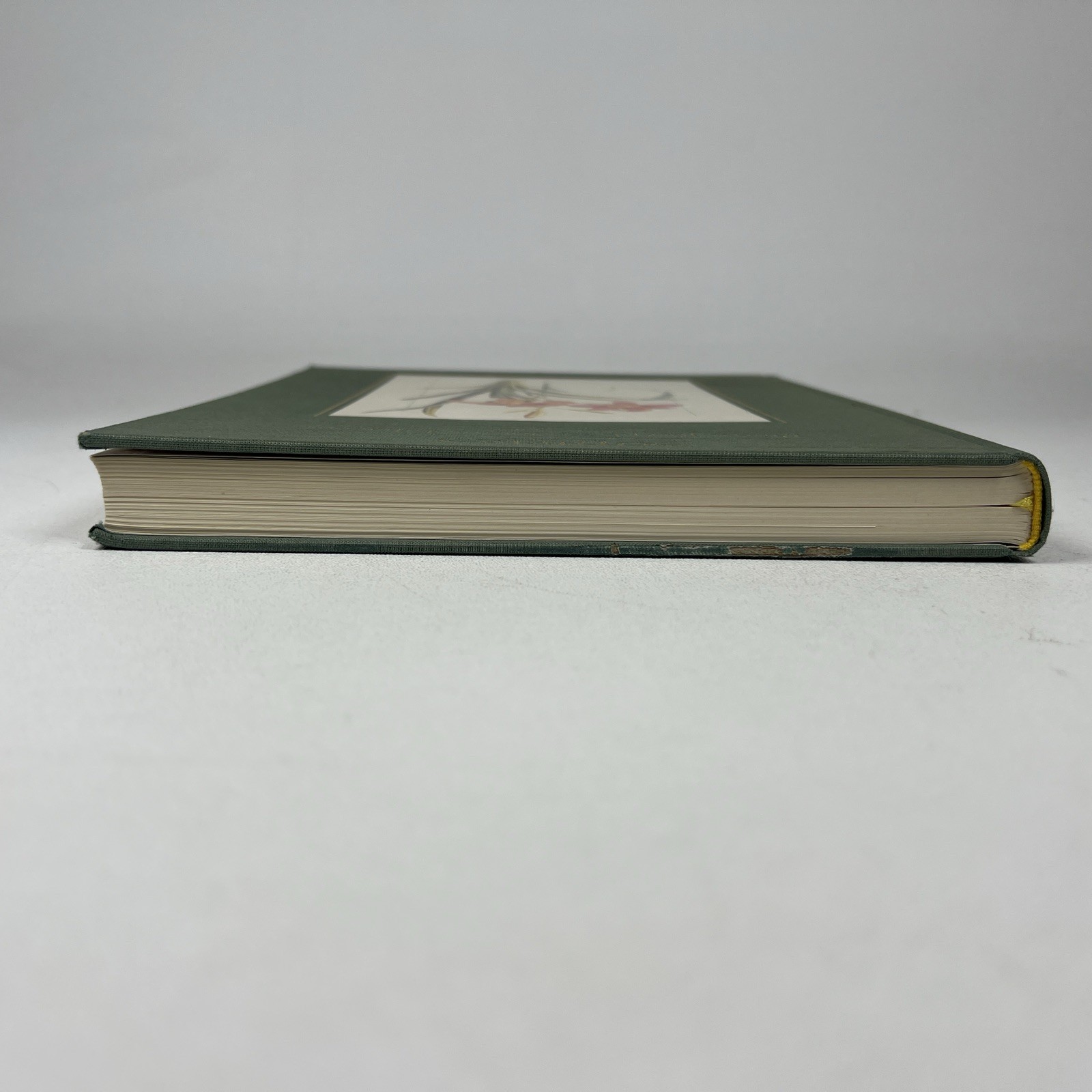 Sotheby’s Catalog Pierre Joseph Redoute Liliacees New York 1983 Hardcover