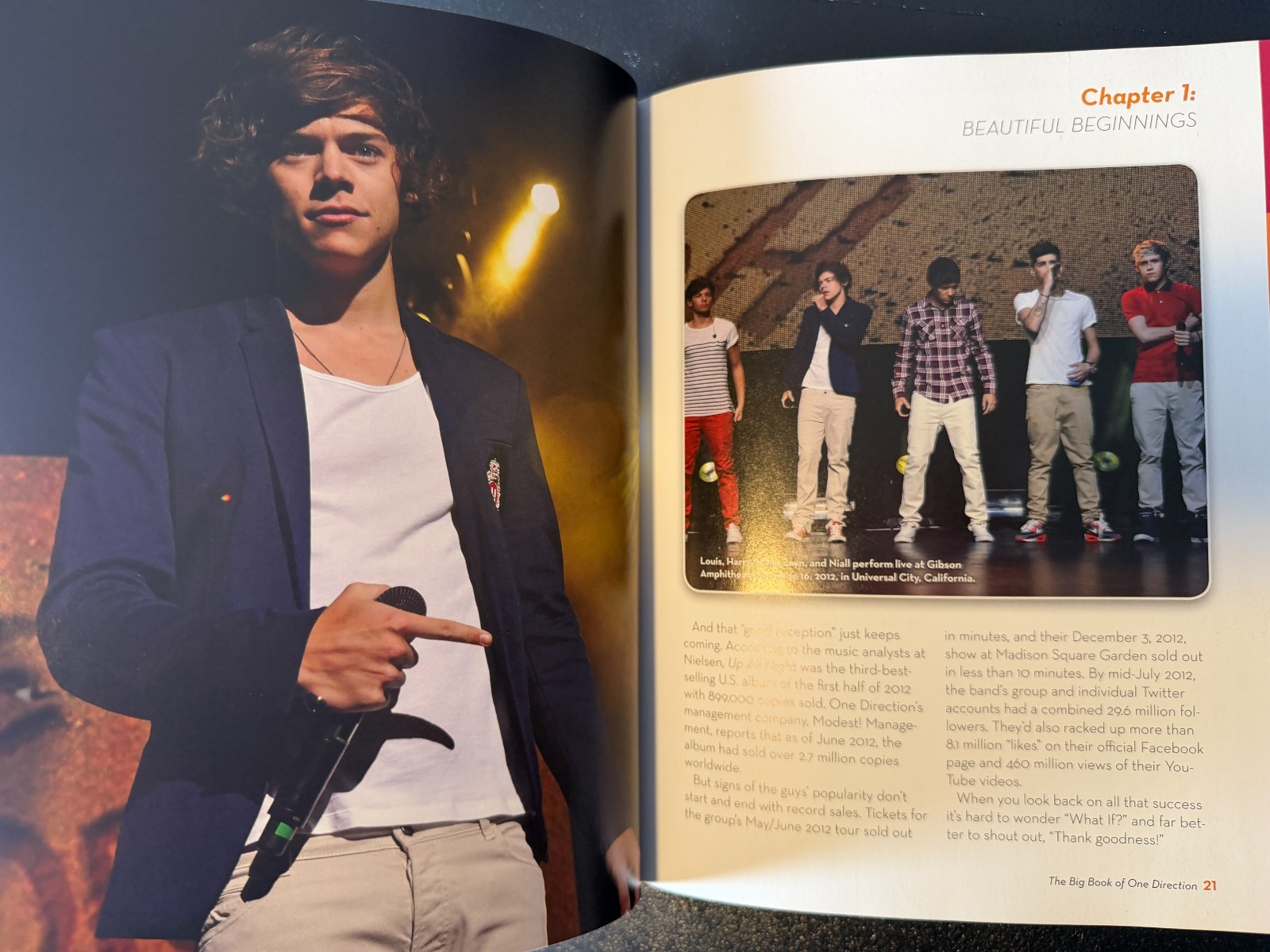 The Big Book of One Direction by Triumph Books – Hardback – 192 Pages