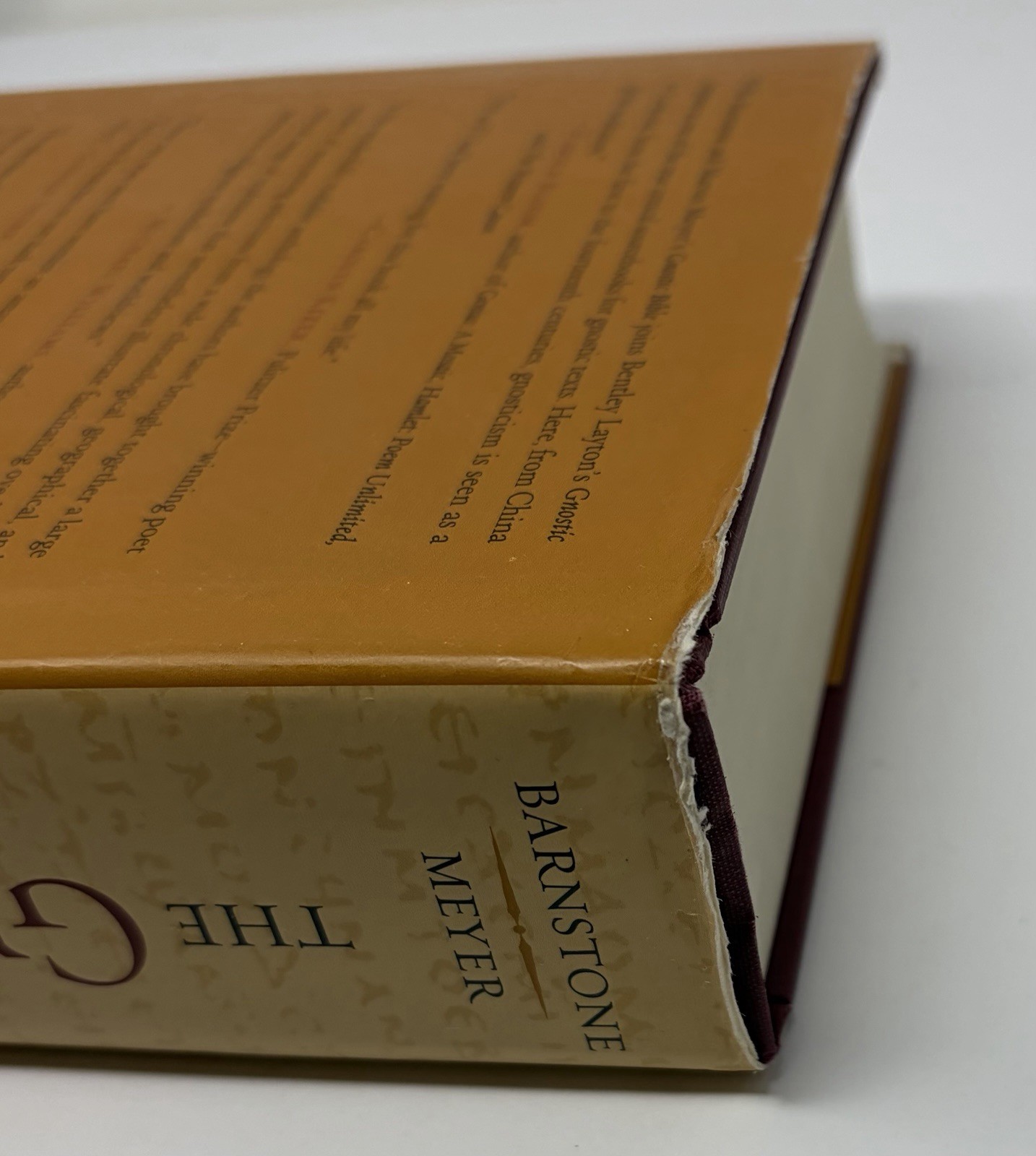 Gnostic Bible : Texts of Mystical Wisdom from the Ancient & Medieval Worlds Book