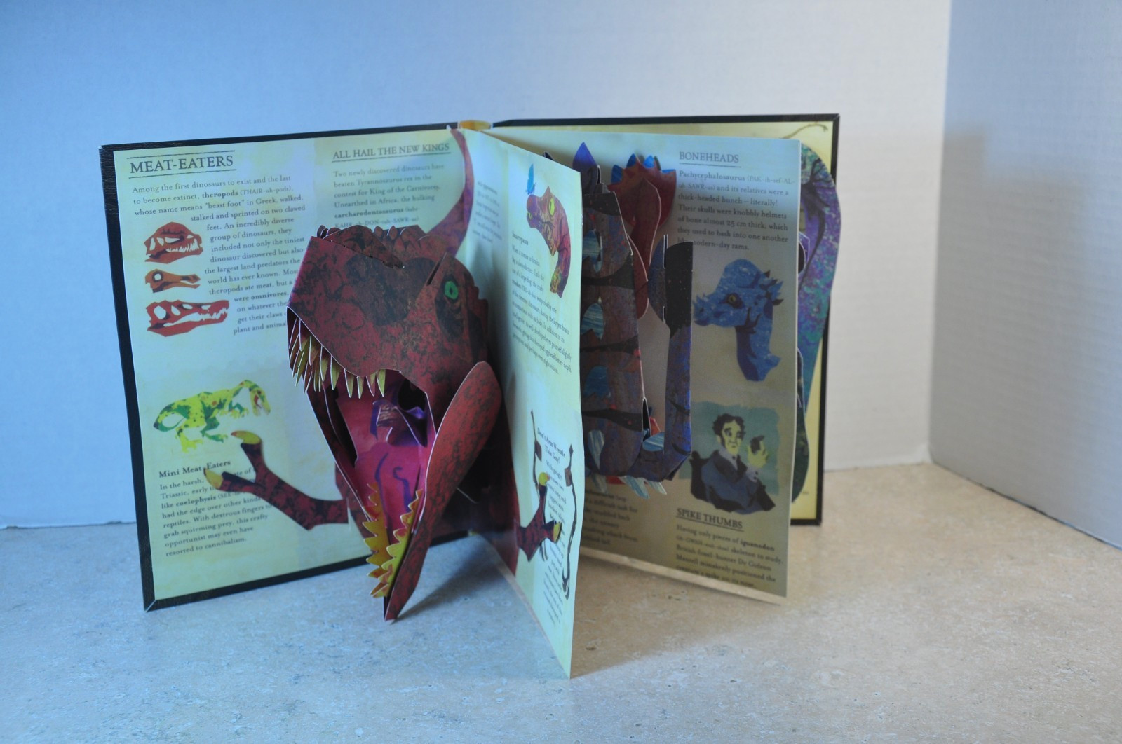 Dinosaur Book Lot of 14 Children’s Kids Books – mixed authors And Book Styles