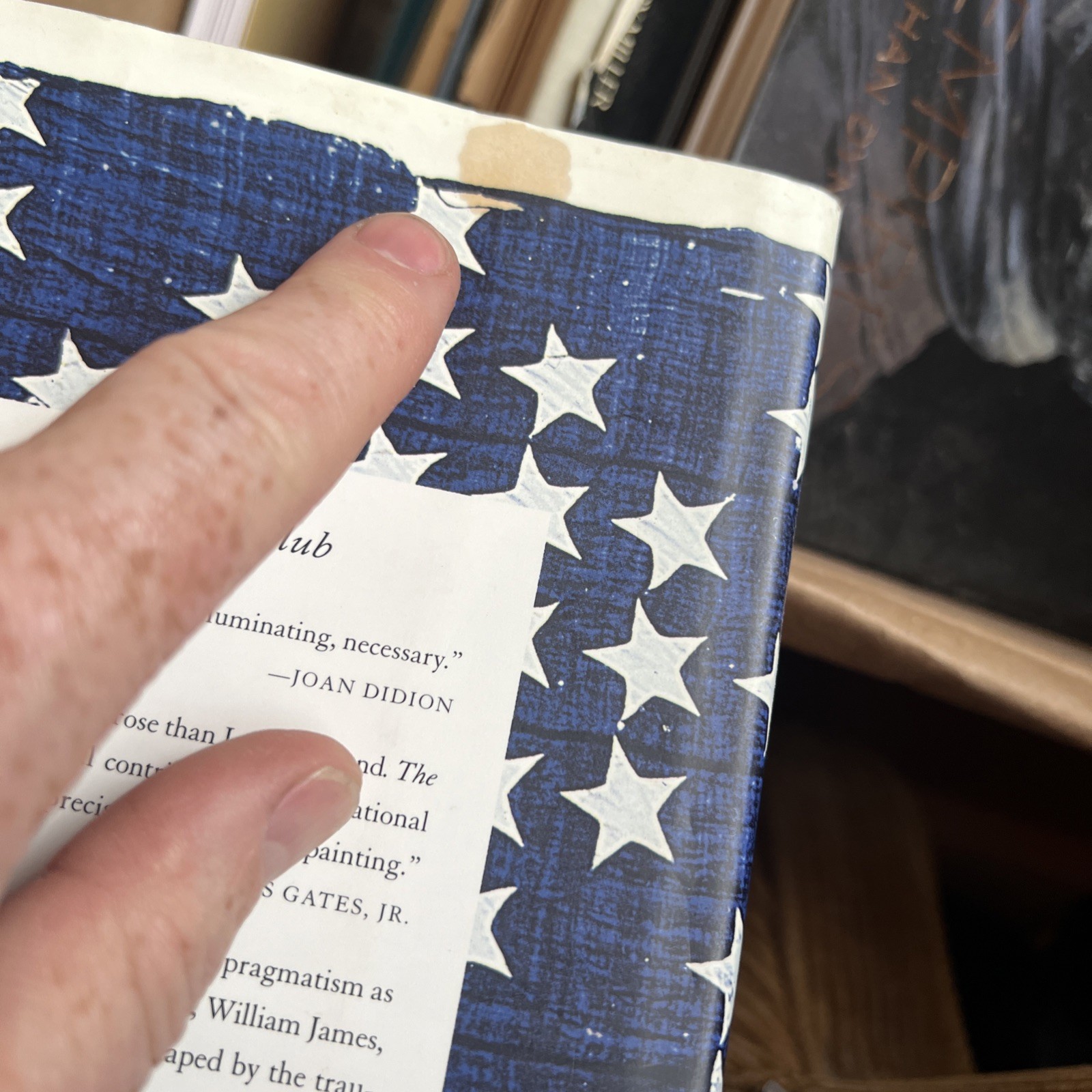 The Metaphysical Club : A Story of Ideas in America by Louis Menand