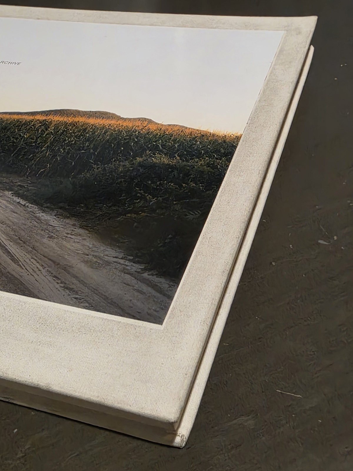 Oxbow Archive by Joel Sternfeld (2008, First Edition,Hardcover) – misprint