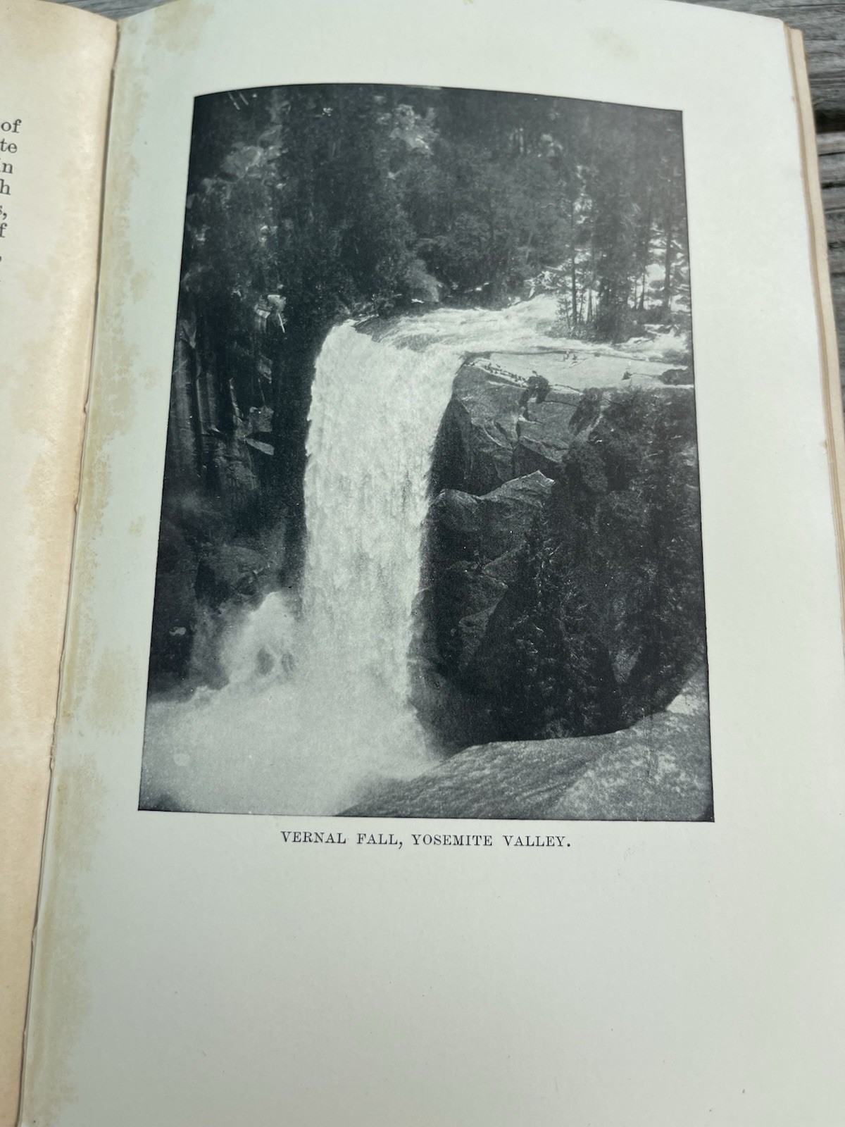 The Mountains Of California John Muir First Edition 1894 1st Printing Book 1800s
