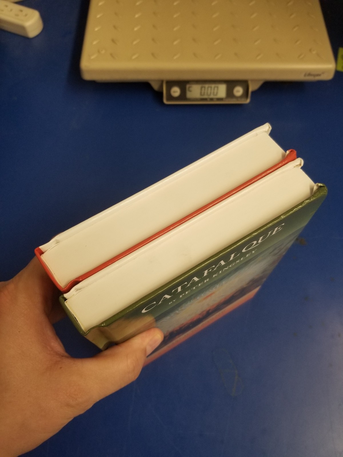 Catafalque : Carl Jung and the End of Humanity ( 2 Volume Set )