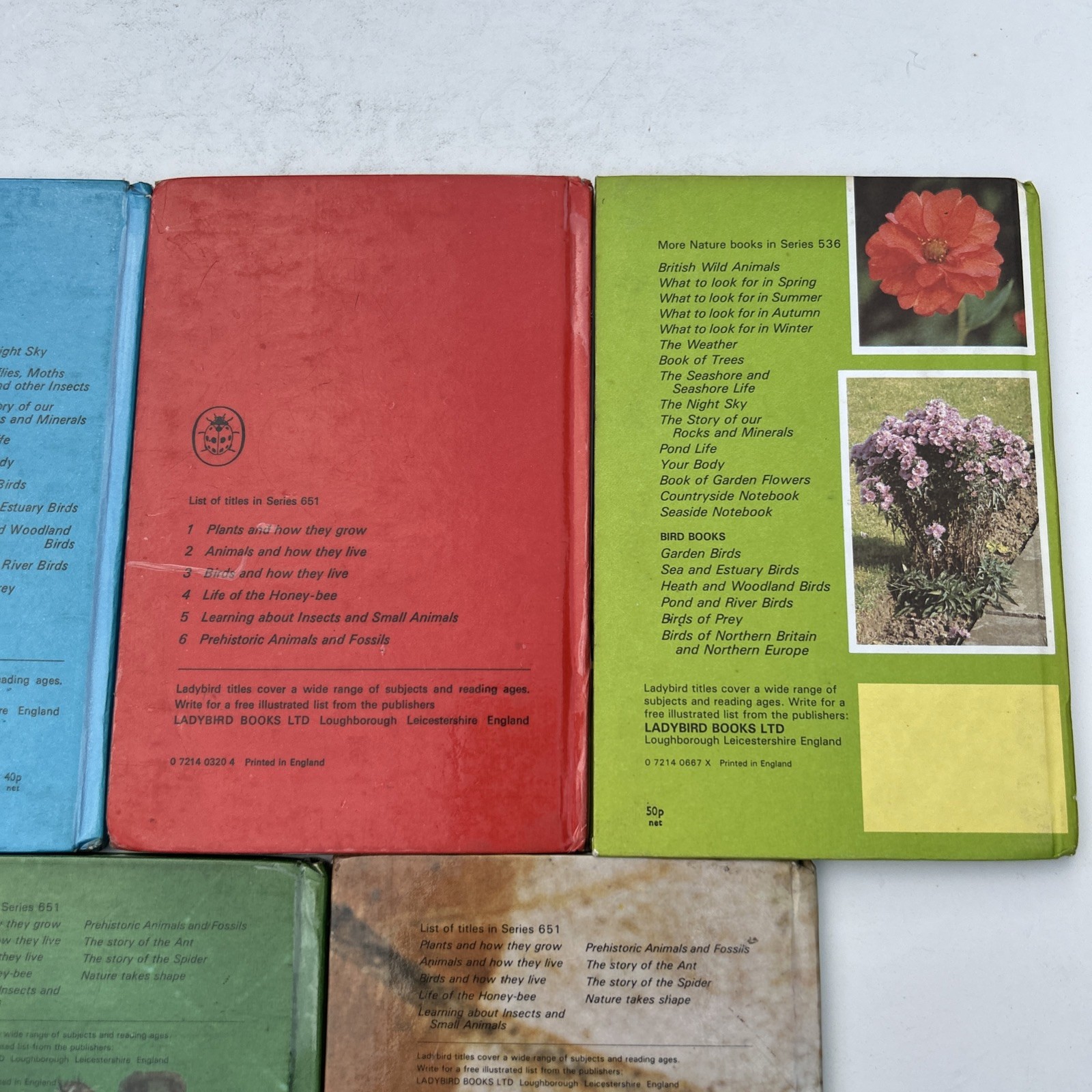 Job Lot 5 Rare Ladybird Children’s Books Natural History Theme 1980s Collectable