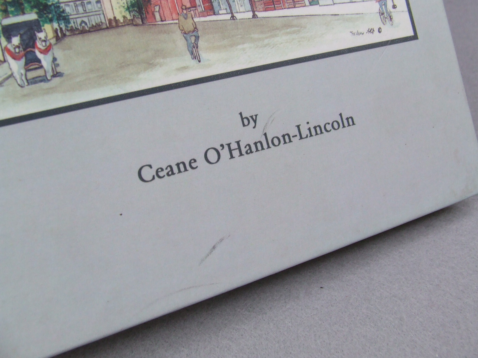 County Chronicles Pennsylvania Histories Volumes 1-4 by Ceane O’Hanlon-Lincoln