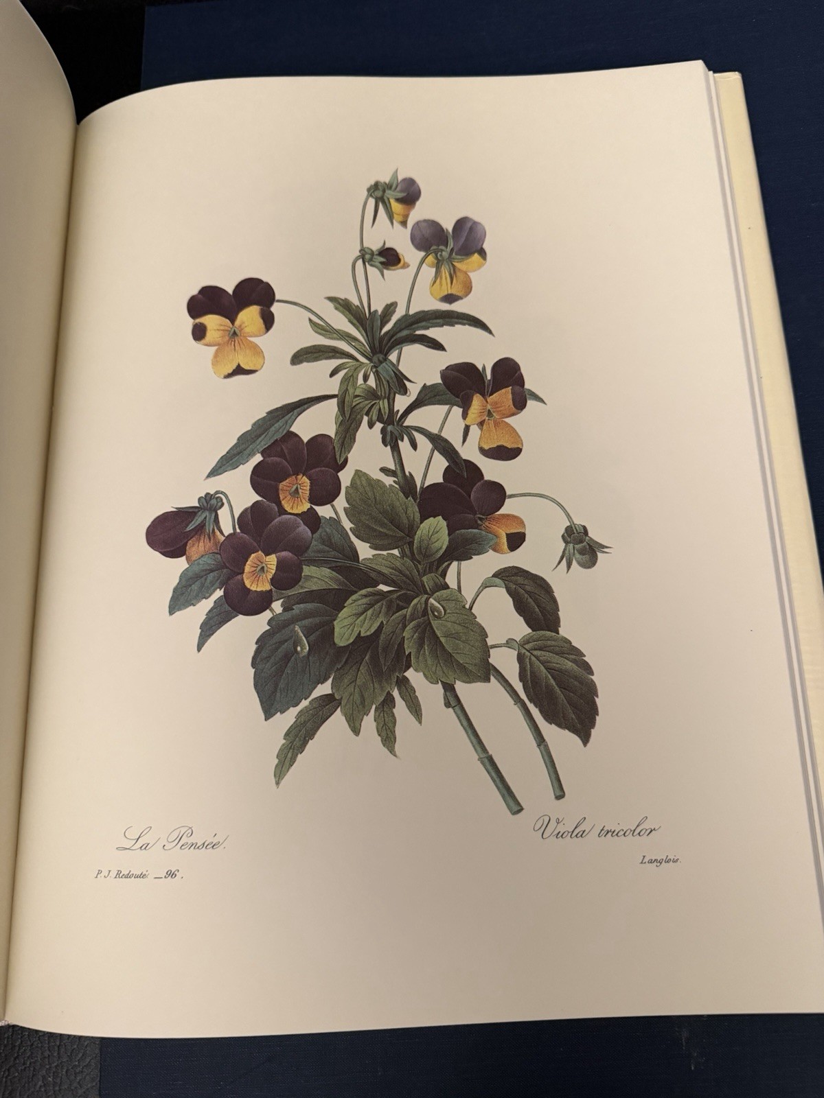 Beautiful Flowers & Fruits by Pierre Joseph Redoute – Like New Condition
