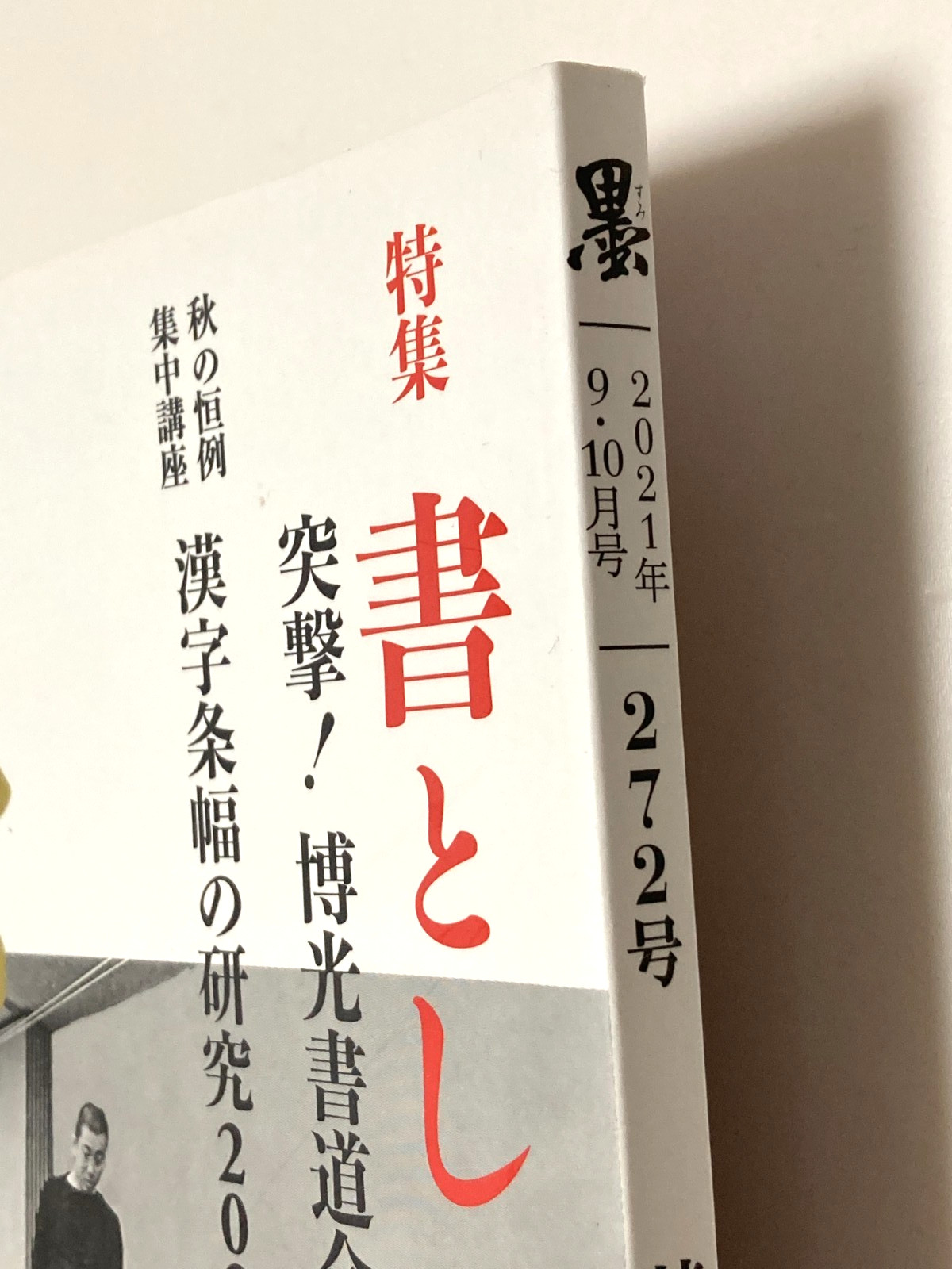 Japanese Calligraphy Magazine SUMI – Study of Kanji Scrolls, Art Reference
