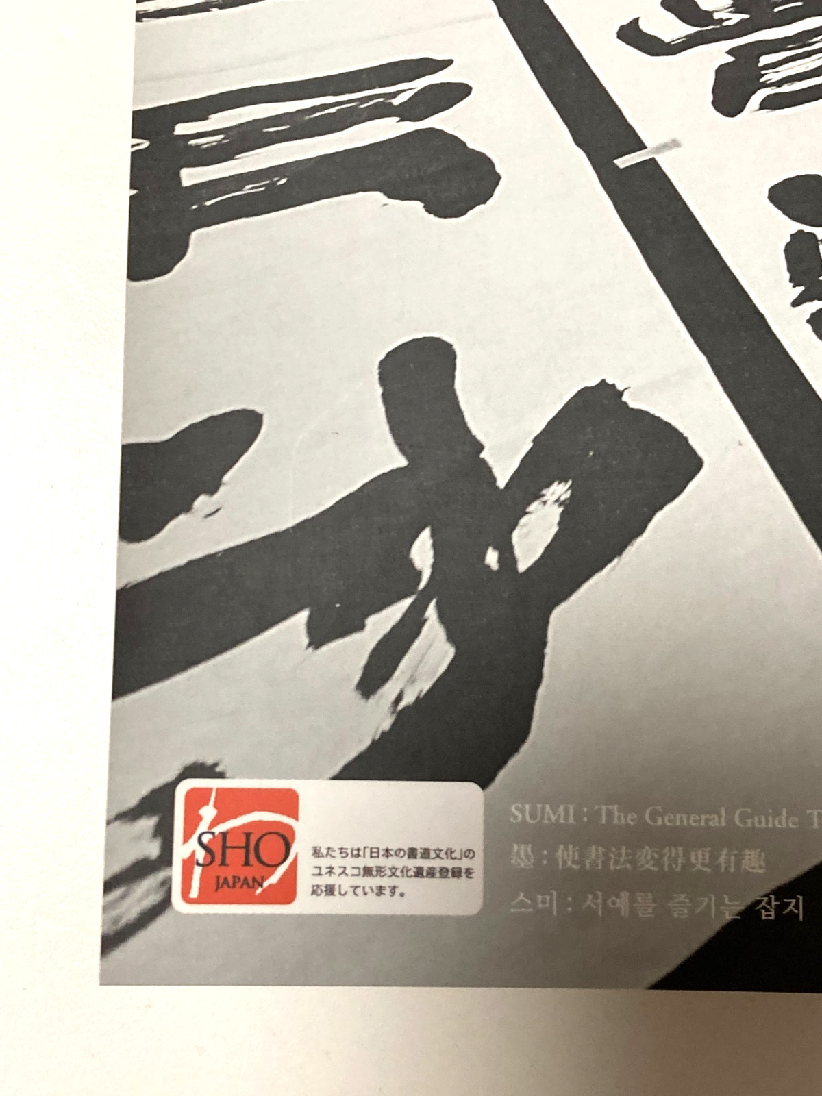 Japanese Calligraphy Magazine SUMI – Study of Kanji Scrolls, Art Reference