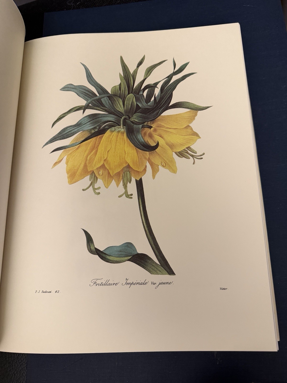 Beautiful Flowers & Fruits by Pierre Joseph Redoute – Like New Condition