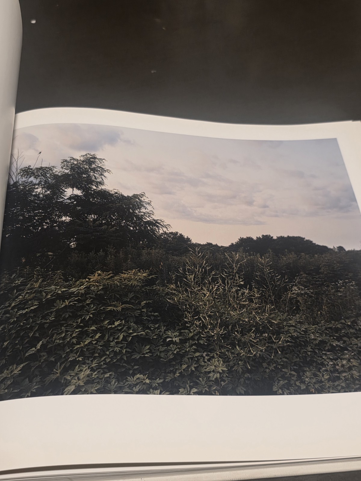 Oxbow Archive by Joel Sternfeld (2008, First Edition,Hardcover) – misprint