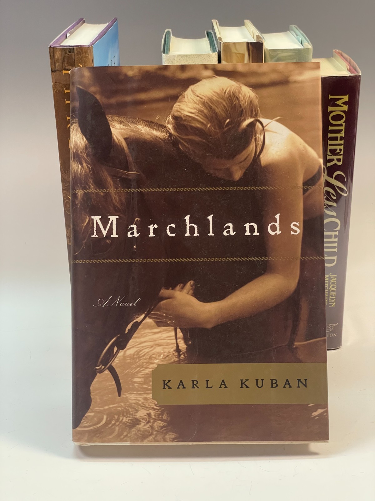 7 Women’s Fiction Hardcover Books; J. Mitchard, Janet Fitch, etc.