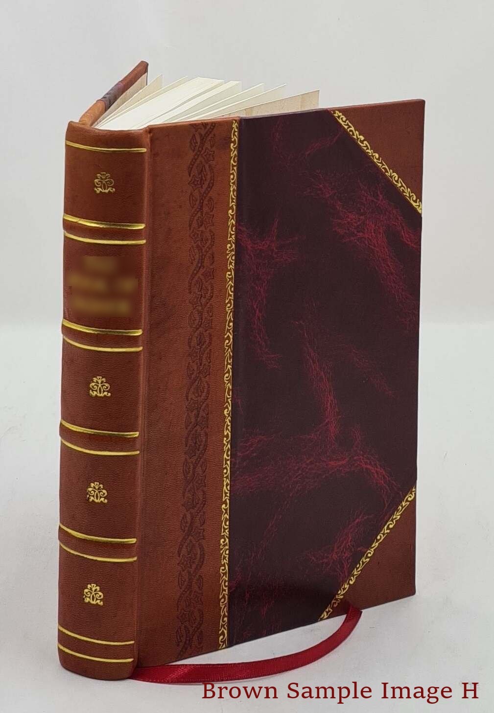 List Of Members Volume 1922 1901 [Leather Bound]