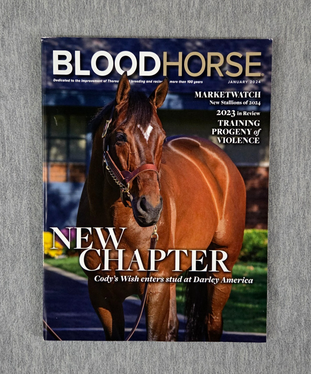 BloodHorse Magazine 1 2024 January Horse Cody’s Wish enters Darley America