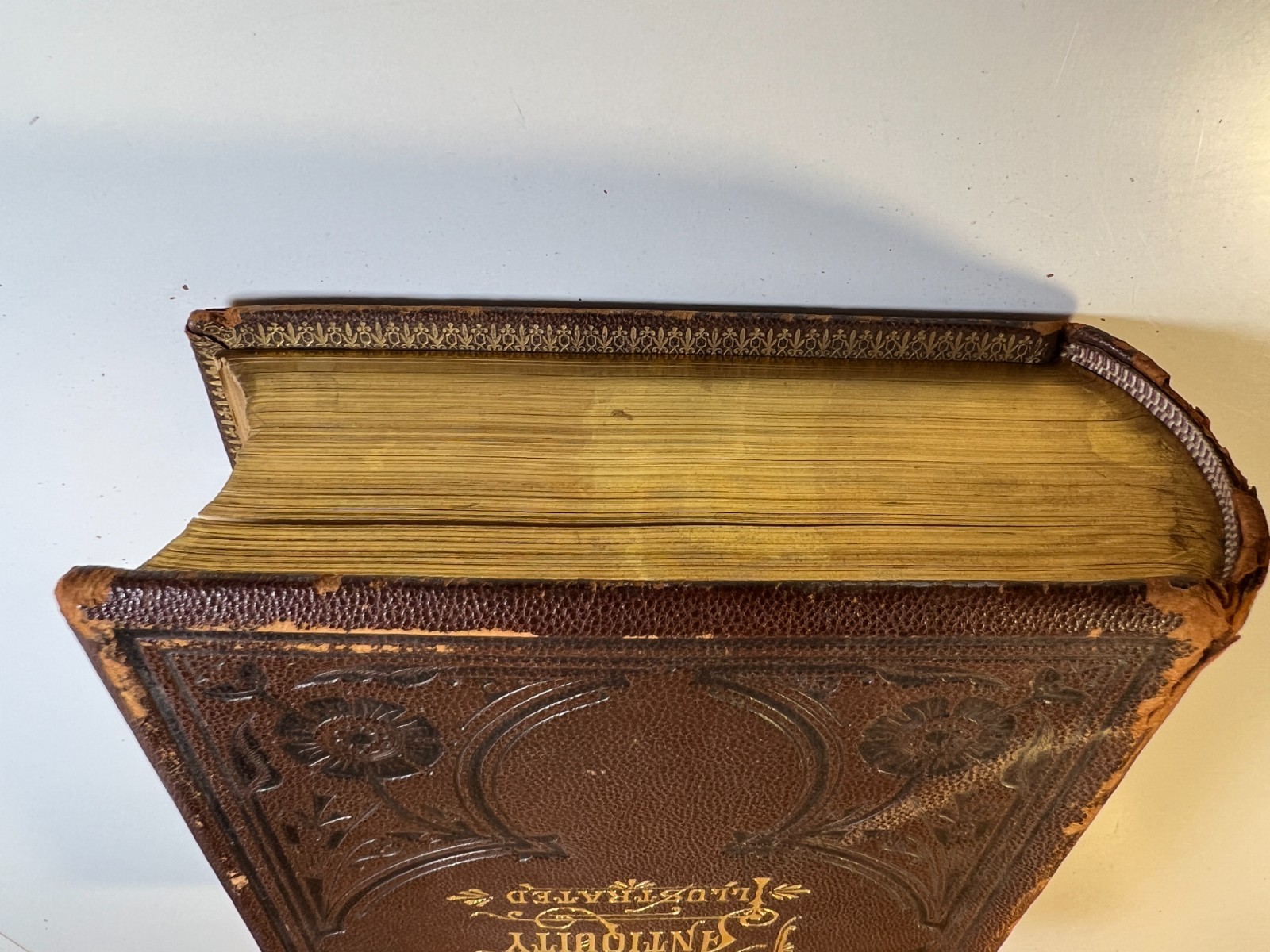 Antique Victorican Book Museum Antiquity 1882 Guilded Ornate Leather Decorative