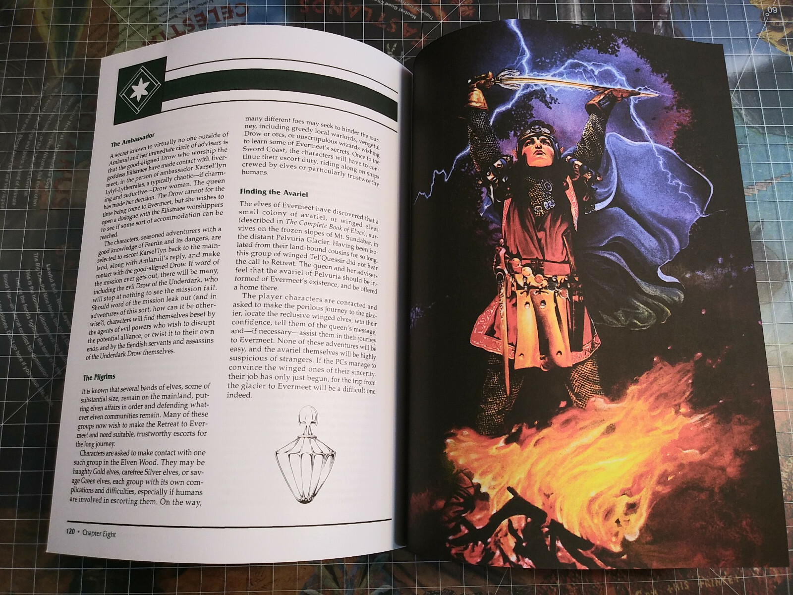 FOR5 Elves of Evermeet – Forgotten Realms – AD&D D&D